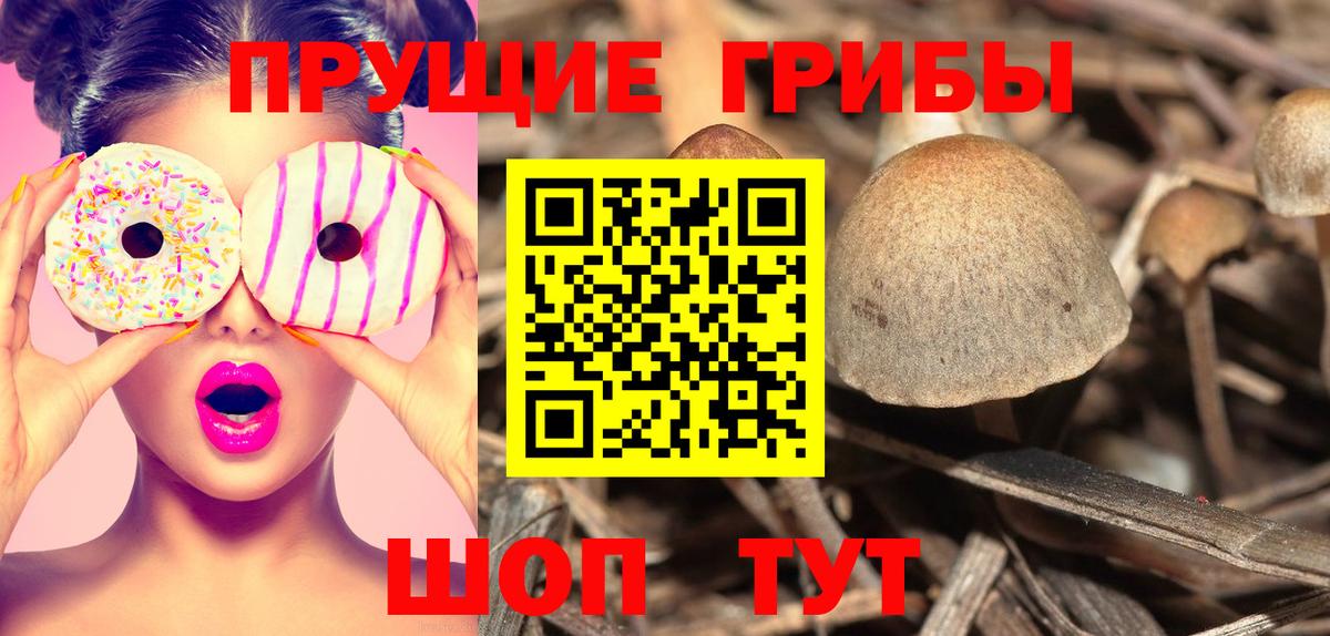 Галлюциногенные грибы Cubensis Орехово-Зуево